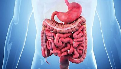 Prospects for Crohn's Relief Brighten With New Advancements