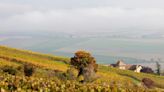 Exploring The Famed Vineyards Of France’s Champagne Wine Region