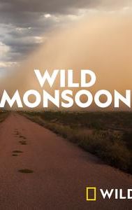 Wonders of the Monsoon