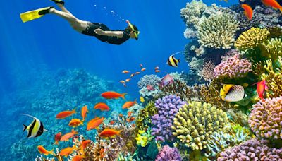 Dive below the surface to discover a refreshed and revived Sharm-el-Sheikh