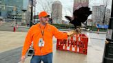 Falconry couple keeping pigeons out of downtown Detroit