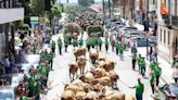 Marea verde en Llanera: el campo tomó la calle con el espectacular desfile de carros y animales