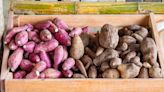 Why You've Probably Never Eaten A Real Yam If You Live In The US