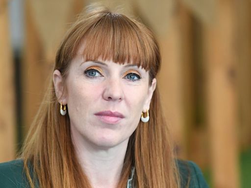 Angela Rayner says Labour’s policies on workers’ rights are ‘personal’ for her