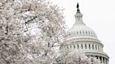 These lawmakers sound fed up too