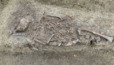 Decapitated 'vampire child' discovered by archaeologists