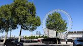 Cities are scrambling to find trees that can survive the century