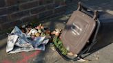 Horsham council approves £2m food bin launch