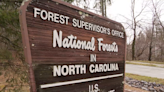 Lawsuit claims Nantahala-Pisgah forest plans endanger protected bat species