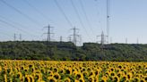 French Power Languishes at Record Discount to German Price