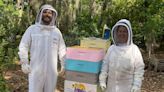 Tampa beekeeper sustains ecosystem and sweetens lives