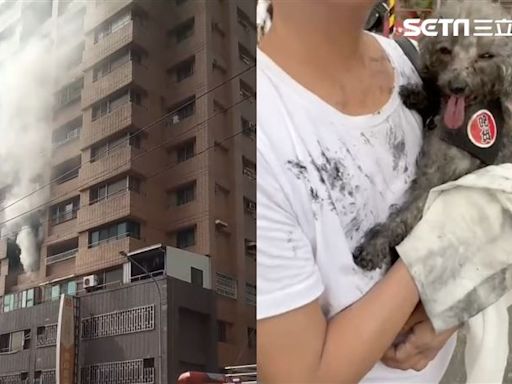 快訊／無名火！鳳山大樓遭火噬濃煙狂竄...愛犬成「煙燻熱狗」灰變黑