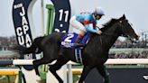 With Japan Cup win, Equinox shows why he's world's No. 1-rated horse