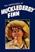 The Adventures of Huckleberry Finn