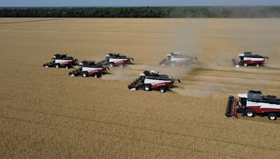 Russian farmers fight to salvage harvest as major region cuts forecast