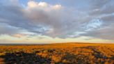 Franja costera rocosa y seis islas con una fauna fascinante: así es el nuevo Parque Nacional de la Argentina