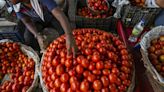 From August 2, Centre to sell subsidised tomatoes at Rs 50/kg in Delhi-NCR and Mumbai against Rs 60/kg now