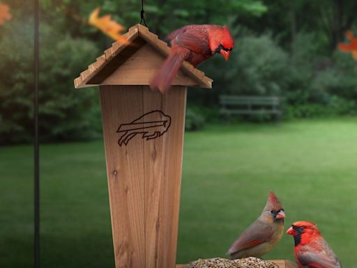 Bills poke fun at Cardinals with birdhouse-themed troll