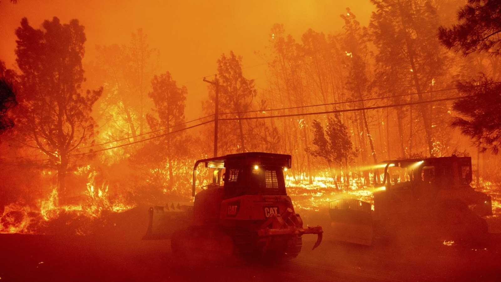 Massive Park Fire, allegedly started by arson suspect, becomes CA's largest wildfire of 2024