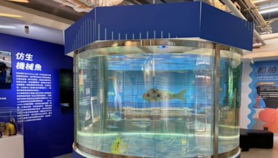 海科館職涯探索基地免費參觀 操船模擬及機械魚互動體驗夯