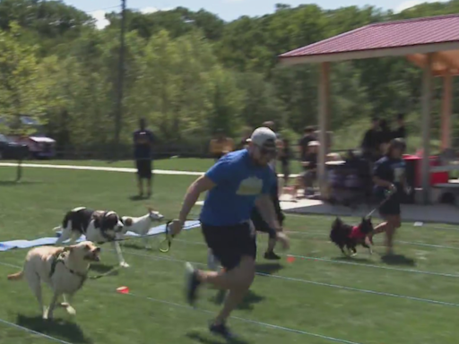 Furry friends get in on the Olympic action at Camp Bow Wow's "Paw-lympics"