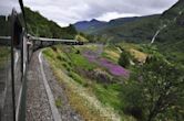 Flåm Line