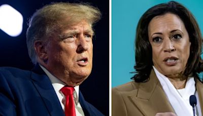 Donald Trump utilizaría un insulto para referirse a Kamala Harris: The New York Times