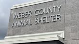 Weber County Animal Services touts pet rehoming program