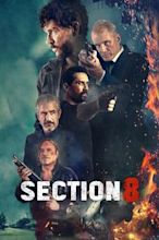 Section Eight (film)