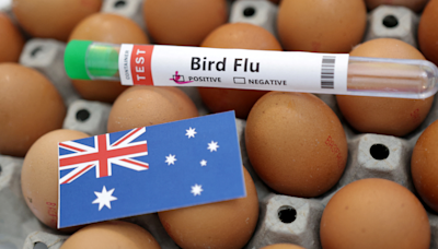 Australia reports new bird flu case at poultry farm as global concerns rise