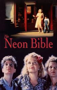 The Neon Bible (film)