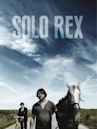 Solo Rex