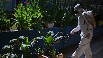 Brasil supera las 3.000 muertes por dengue este año