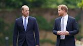 Prince William's friend shares 'dreadfully sad' detail of Prince Harry feud