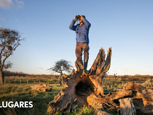 La Titina: la estancia que recibe huéspedes y tiene una reserva natural repleta de aves