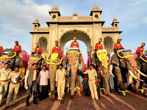 The Elephants of Mysore Dasara: Guardians of a royal legacy - Times of India