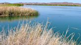 Navajo Nation approves proposed settlement to secure Colorado River water - KYMA