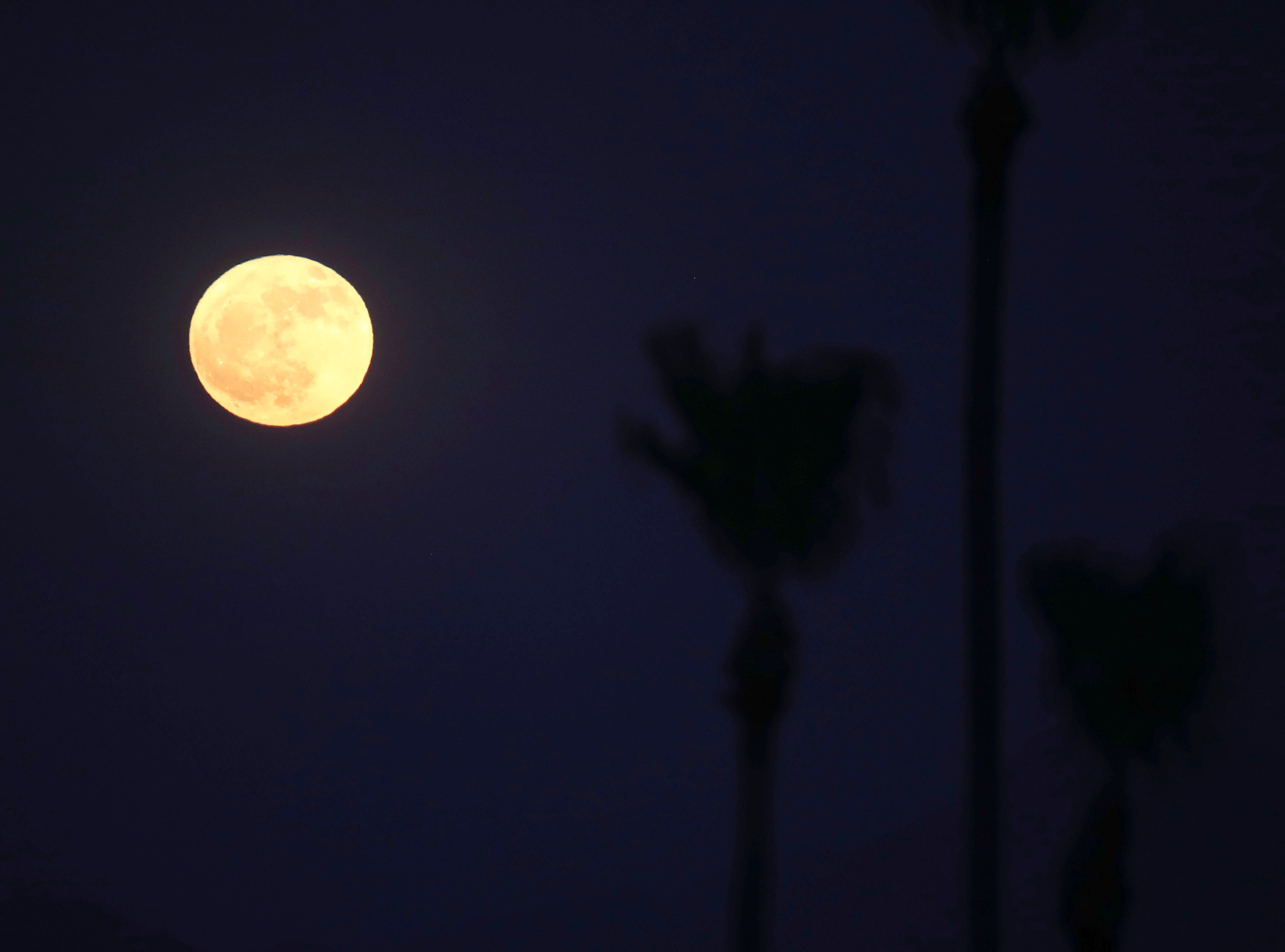 When is the July full moon? Here's why it's called the Buck Moon