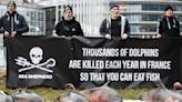 France ordered to curb mass dolphin deaths in fishing nets