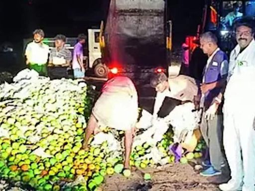 3,000kg Artificially Ripened Mangoes Seized and Destroyed in Trichy | Trichy News - Times of India