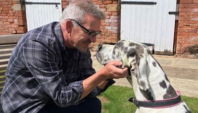 Dog rescued from 20ft well after 'Scooby-Doo' howl