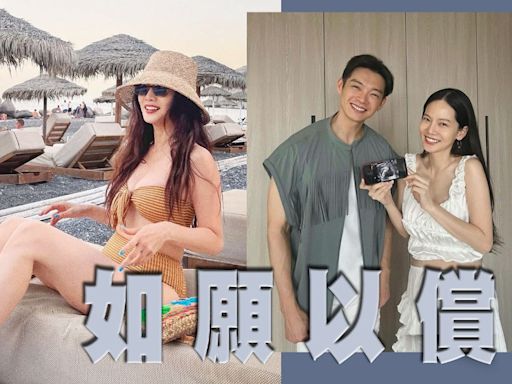 辰亦儒同老婆曾之喬奮戰4年 宣布做老竇