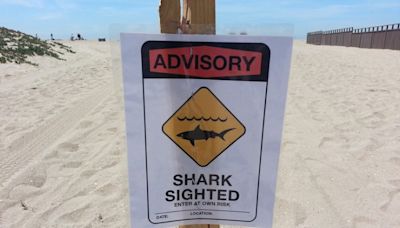 Shark sighting closes Orange County beach