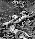 Bangladesh genocide