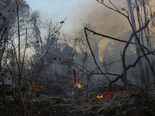 Los incendios no dan tregua en Brasil