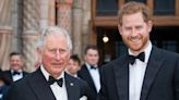 Why Prince Harry Turned Down a Meeting With King Charles and Royal Residence Stay