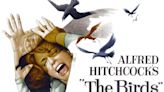 'The Birds' is terrifying because it doesn't explain anything