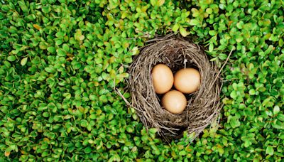 Best CD rates today: Grow your nest egg with guaranteed returns across a range of terms — July 2, 2024