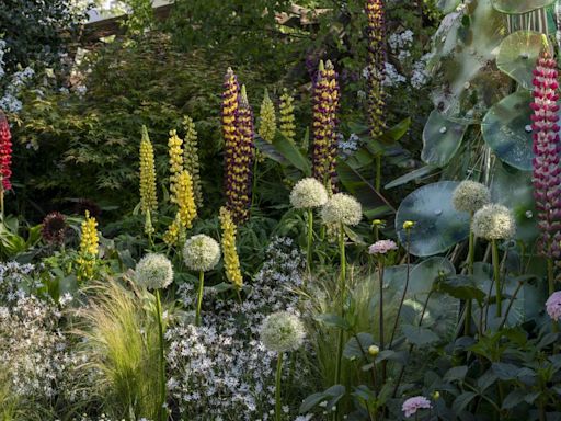 Chelsea Flower Show People’s Choice Award: When does voting close?