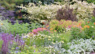 How to Plant a Border Garden that Will Add Tons of Color to Your Landscape